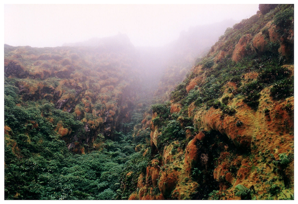 04 - La Soufriere (4).jpg